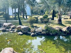 -惠州金海湾嘉华度假酒店