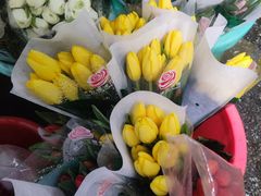 -循礼门鲜花花市(武汉循礼门店)