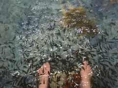 -东方之珠洗浴休闲广场(大港店)
