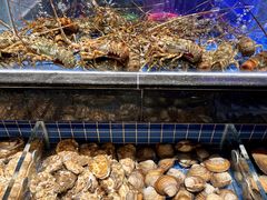 -青蓬蒸汽海鲜·深圳老字号·团建聚会(壹方城店)