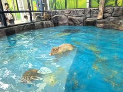 -海合安成都极地海洋公园