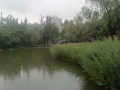 -木塔寺遗址生态公园