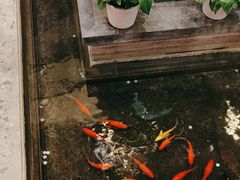 -旺顺阁鱼头泡饼(小红门店)