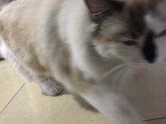 -乐宠动物医院