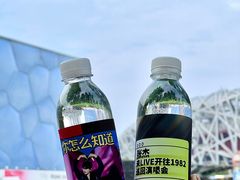 -北京奥林匹克公园