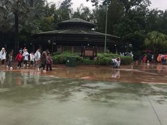 -奥兰多迪士尼动物王国乐园