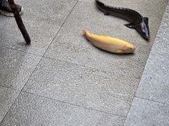 -京北渔家傲