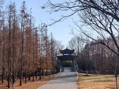 -梁鸿国家湿地公园