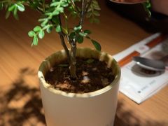 -CURRY YA 熟成咖哩專門店(深圳湾万象城店)
