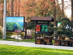 门面-合肥滨湖国家森林公园