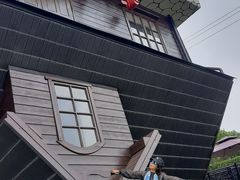 -金山农民画村-枫泾波兰倒置屋