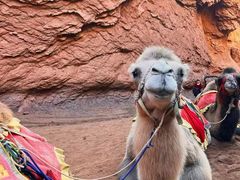 -天山神秘大峡谷