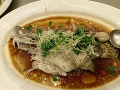 -沙龙酒家