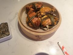 -杨氏青龙虾·螃蟹(托乐嘉店)