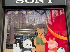-Sony Store 索尼(上海淮海中路店)