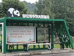 -都江堰中华大熊猫苑