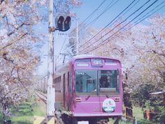 -岚山嵯峨野观光小火车