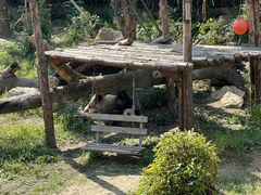 -宁波野生动物园