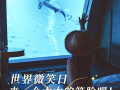 -圣淘沙名胜世界