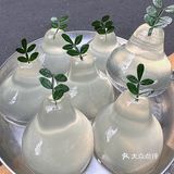 卧卧卧！！！深圳有了！！！在金光华！！