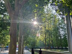 -京城小江南·北京烤鸭·江南土菜·白鱼(中关村店)