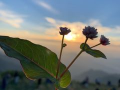 -萍乡武功山风景名胜区