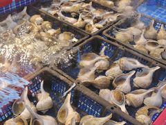 -驻海渔市(置信店)