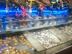 -蒙肥羊·酸汤潮牛·鲜牛肉火锅烤肉自助(岗顶店)