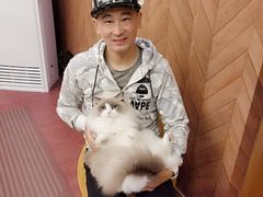 -MOCHA明星猫咖(田子坊店)