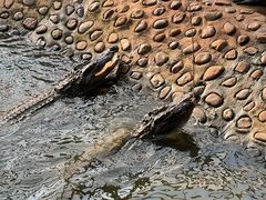 -石家庄市动物园