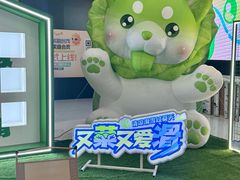 -哈尔滨热雪奇迹