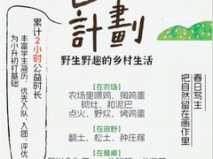 -甲乙果 美术书法(通州校区)