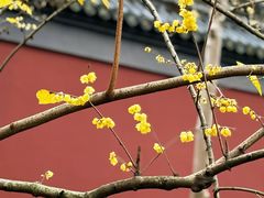-钱王祠
