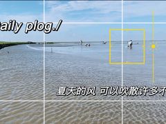 -南汇嘴观海公园