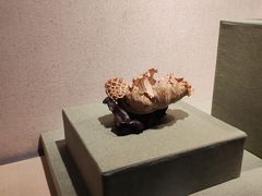 -浙江省博物馆(孤山馆区)