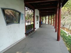 -重庆彩云湖湿地公园