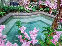 -海口观澜湖火山温泉谷