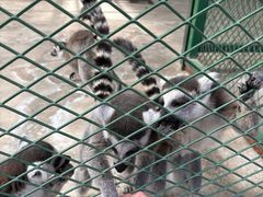 -水上乐园·欢乐世界