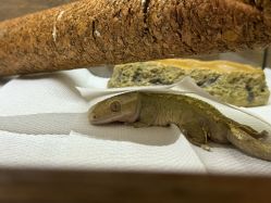 -Zoolung Zoolung动物主题公园(海信广场店)