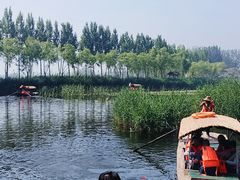 -白洋淀景区