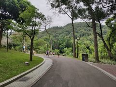 -云溪植物园