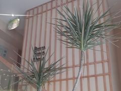 -艾柏堂·经络·艾灸调理(中天健店)