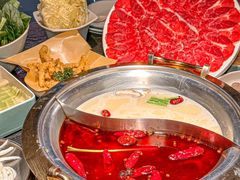 -熊喵来了火锅(四平万达第56分店)