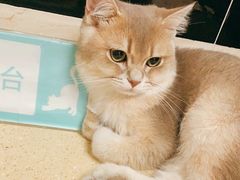 -安安宠医·安宠宠物医院