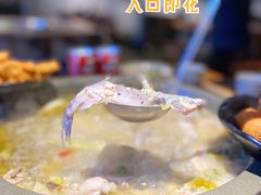 -石锅苗苗鱼(武汉首店)