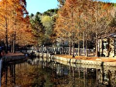 -白水寺森林公园