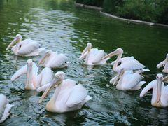 -云南野生动物园