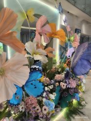 -石家庄苏亚美联臣医疗美容医院