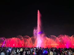 -秋水广场音乐喷泉