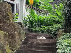 -广州兰圃